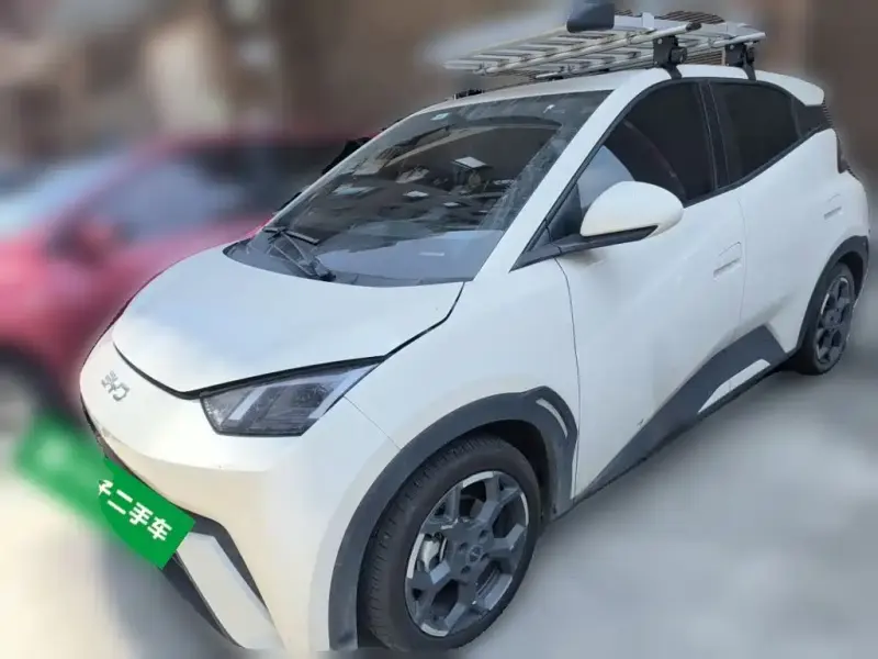 BYD Seagull, 2024