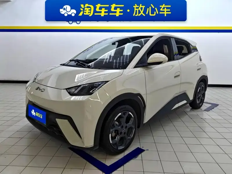 BYD Seagull, 2024