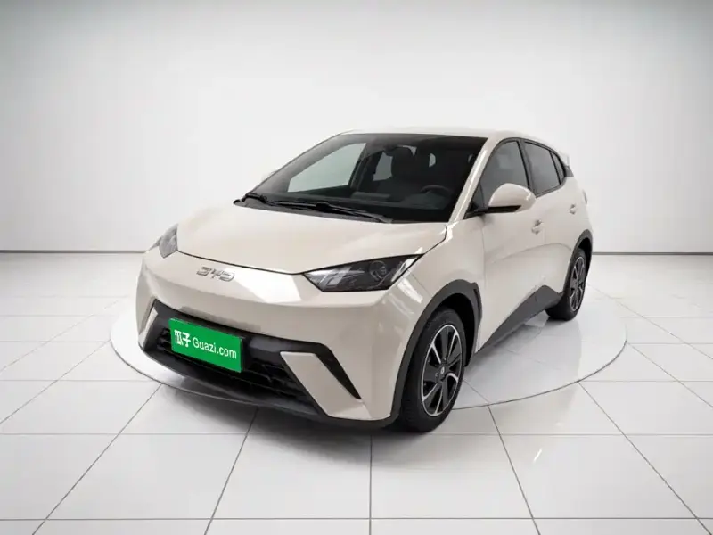 BYD Seagull, 2024