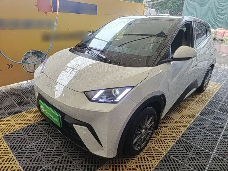 BYD Seagull, 2024