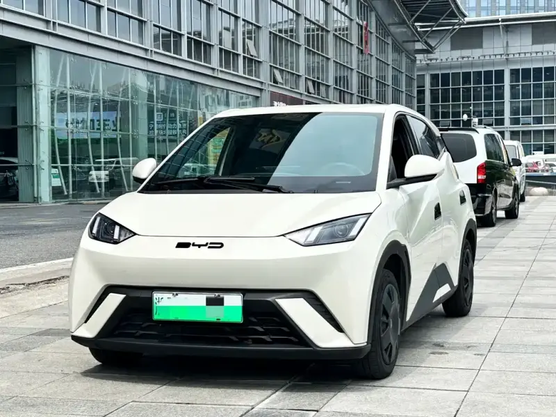 BYD Seagull, 2024