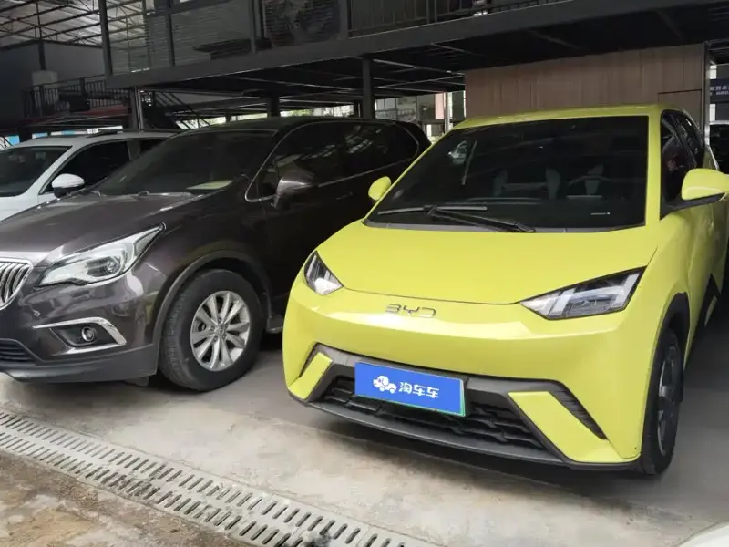 BYD Seagull, 2024