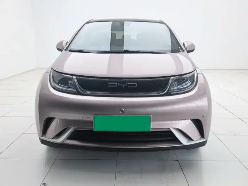 BYD Dolphin, 2023