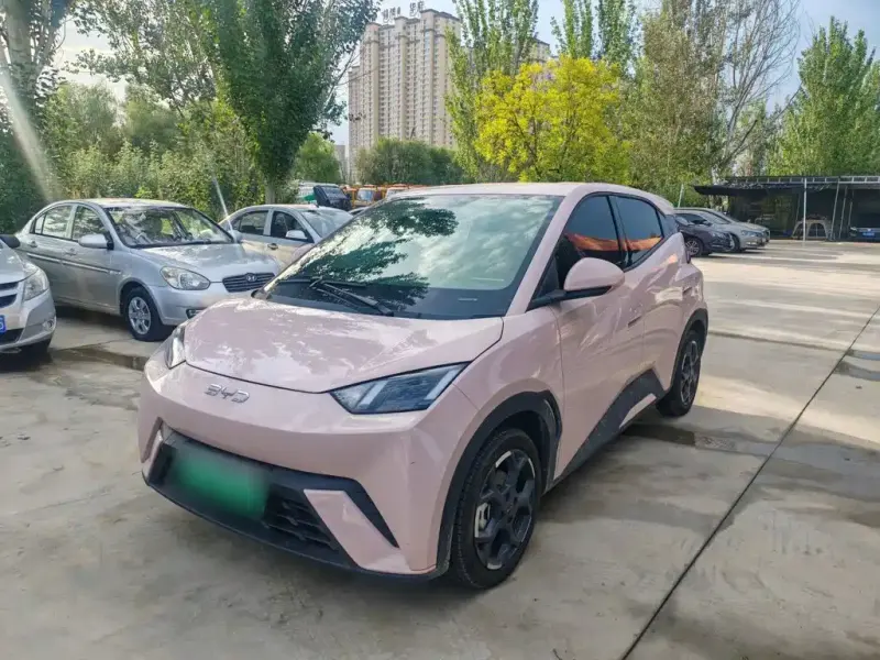 BYD Seagull, 2024
