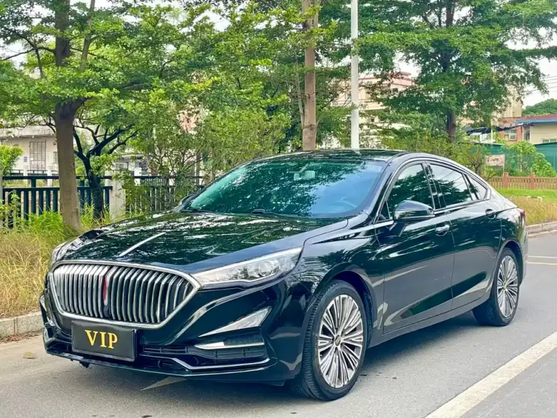 Hongqi H5, 2021