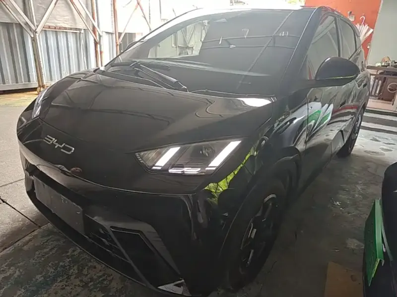 BYD Seagull, 2024
