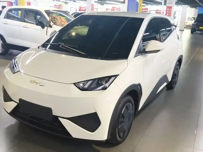 BYD Seagull, 2025