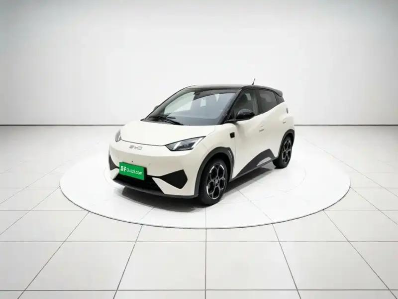 BYD Seagull, 2025