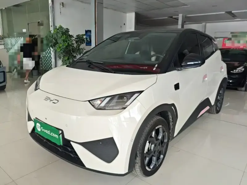 BYD Seagull, 2025