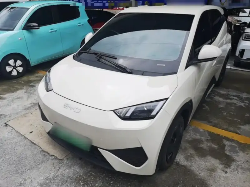 BYD Seagull, 2025