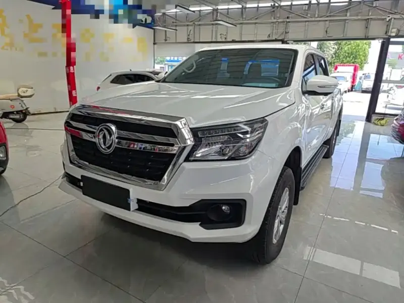 Dongfeng Rich 6, 2024