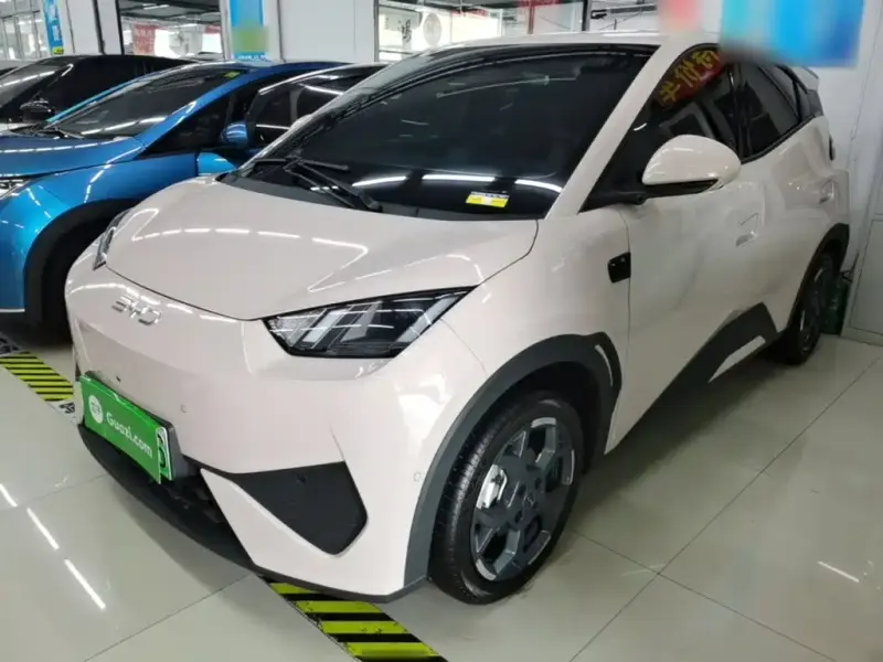 BYD Seagull, 2026