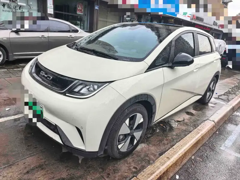 BYD Dolphin, 2023