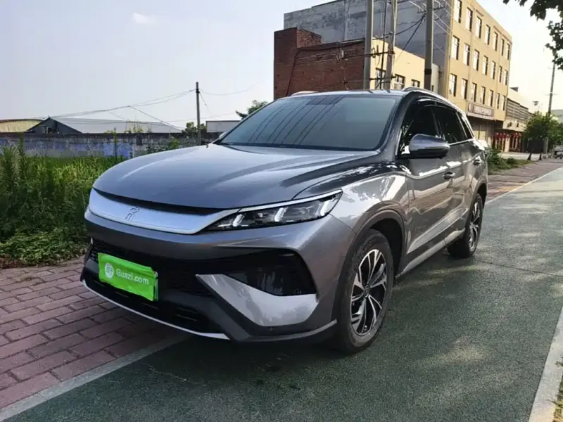 BYD Pro New Energy, 2024 — фото 1