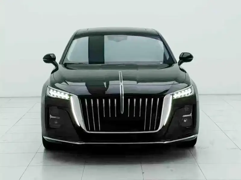 Hongqi H5, 2024