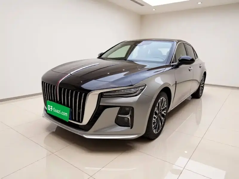 Hongqi H5, 2024