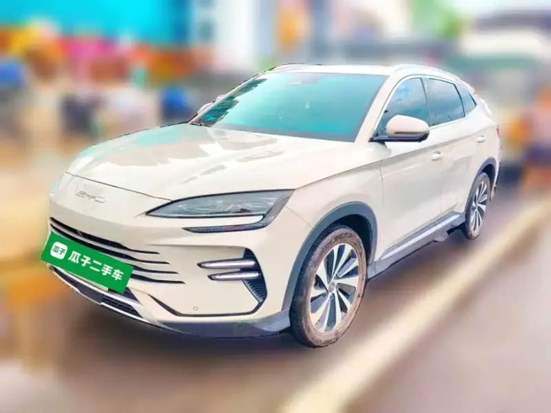 BYD PLUS New Energy, 2024 — фото 1