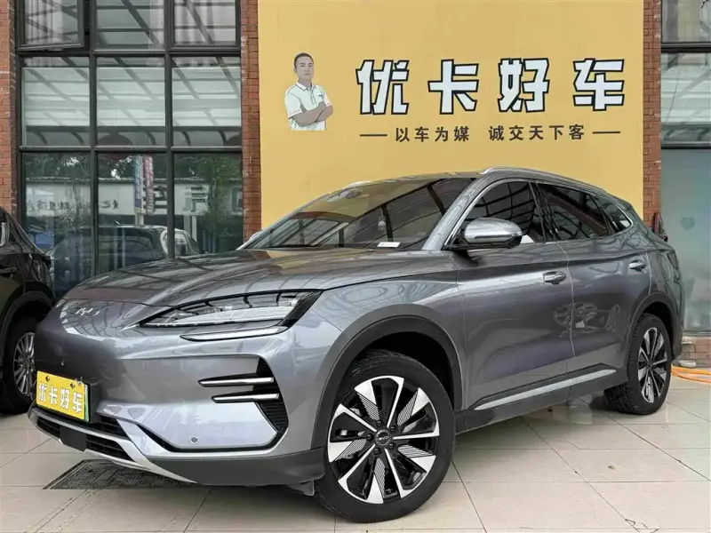 BYD PLUS New Energy, 2024 — фото 1