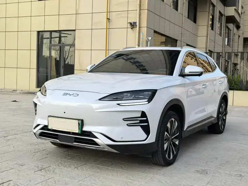 BYD PLUS New Energy, 2024 — фото 1