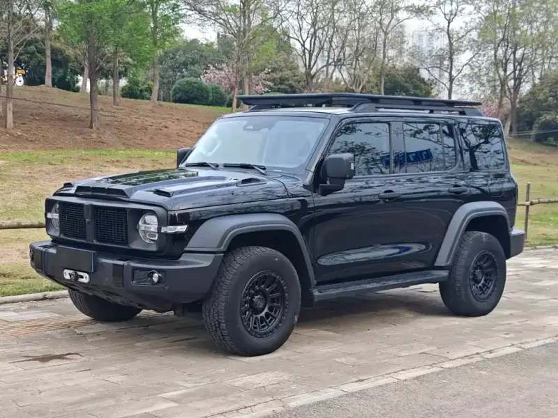 Tank 300, 2021