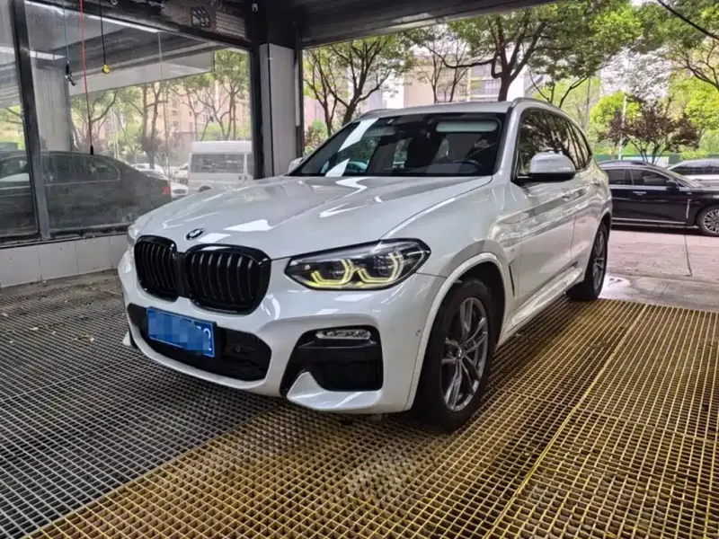 BMW X3, 2019 — фото 1