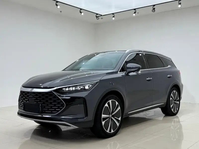 BYD Tang New Energy, 2022