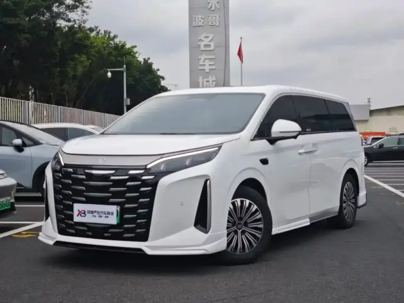 BYD Xia, 2025