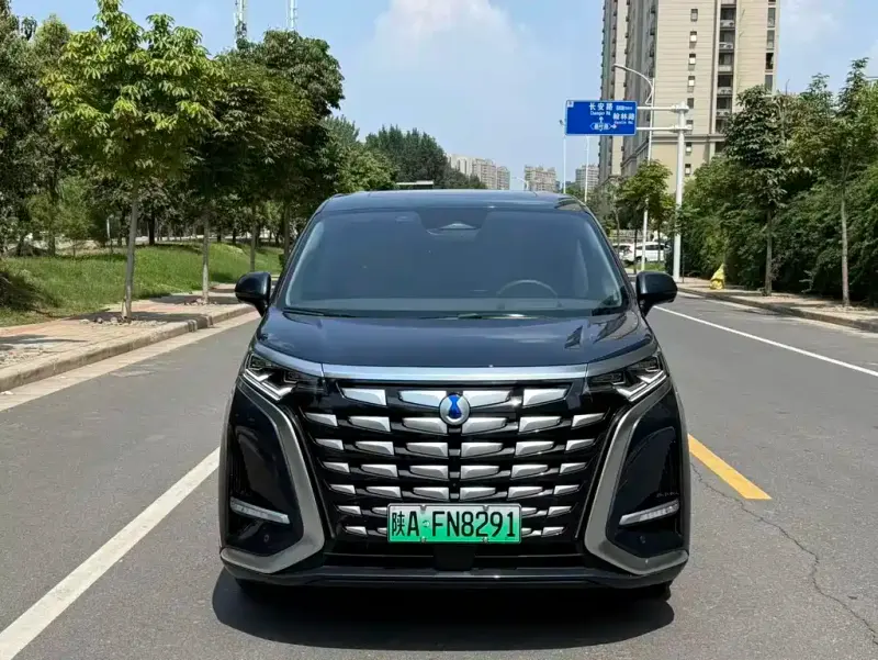 Denza D9, 2023