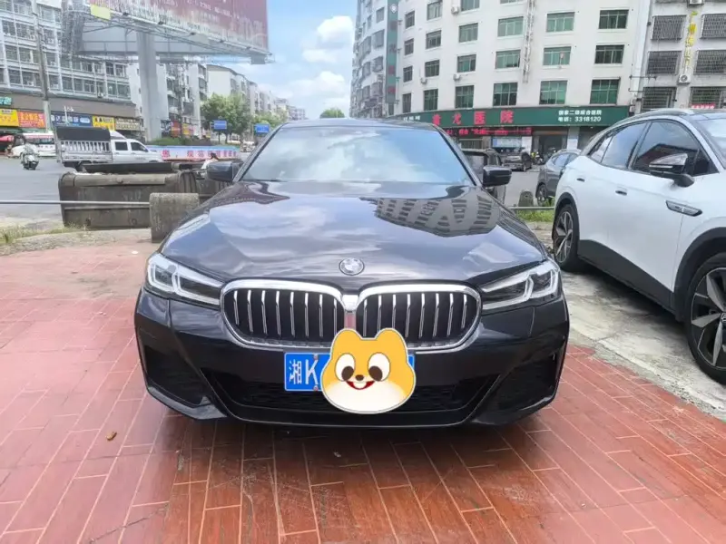BMW 5 Series, 2021