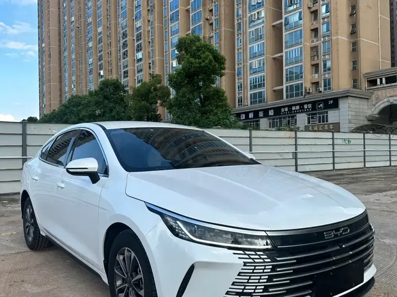 BYD Destroyer 05, 2023