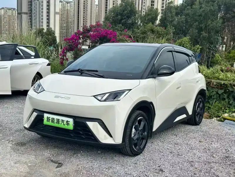 BYD Seagull, 2023