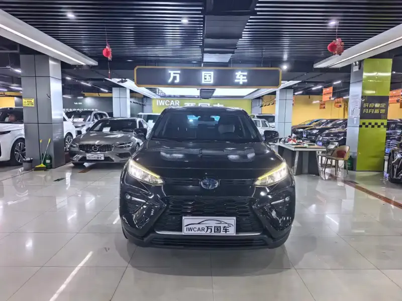 Toyota Wildlander, 2021