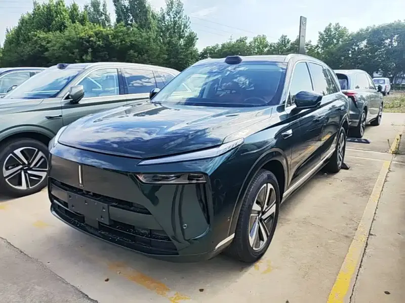 Wey Lanshan, 2024