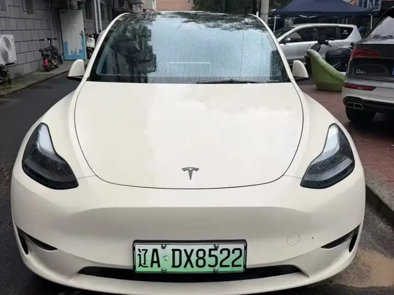 Tesla Model Y, 2025 — фото 1