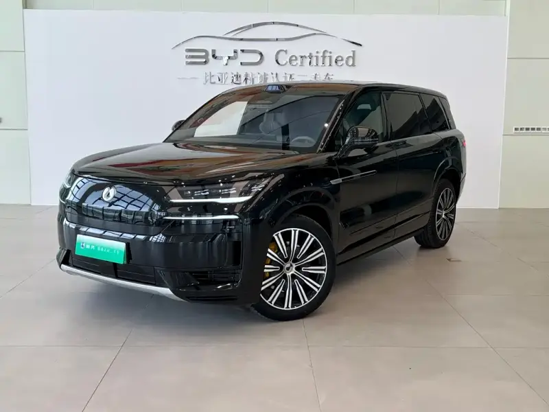 Denza N9, 2025
