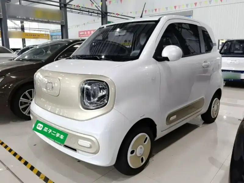 Bestune Pony, 2024
