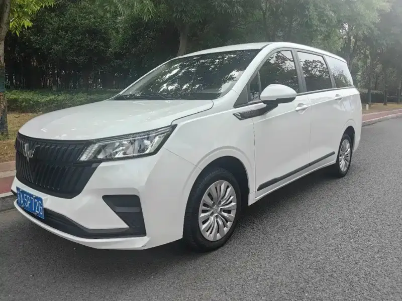 Wuling Jiachen, 2024