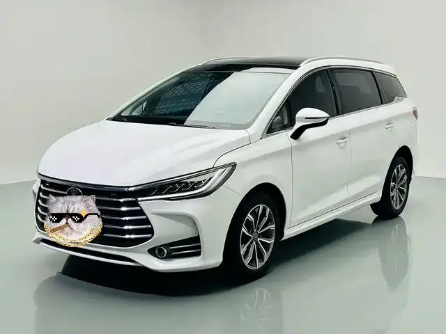 BYD MAX, 2020
