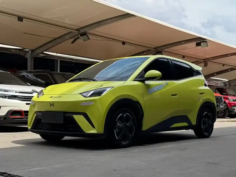 BYD Seagull, 2023