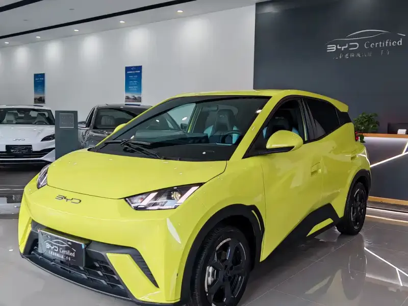 BYD Seagull, 2024