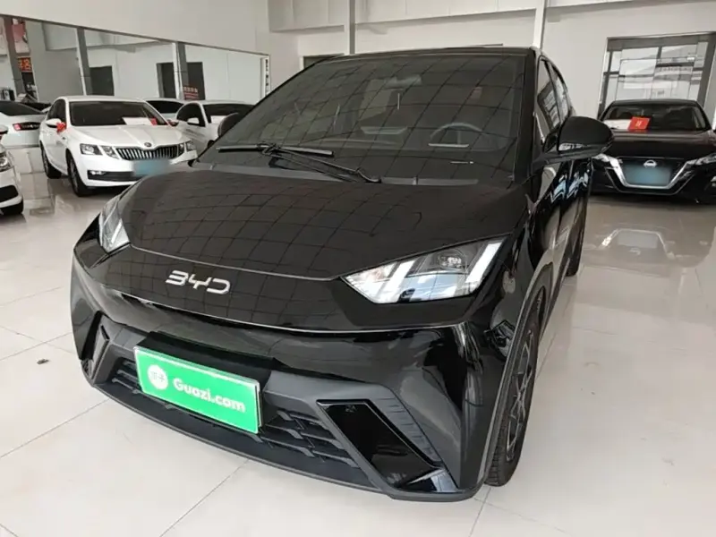 BYD Seagull, 2024