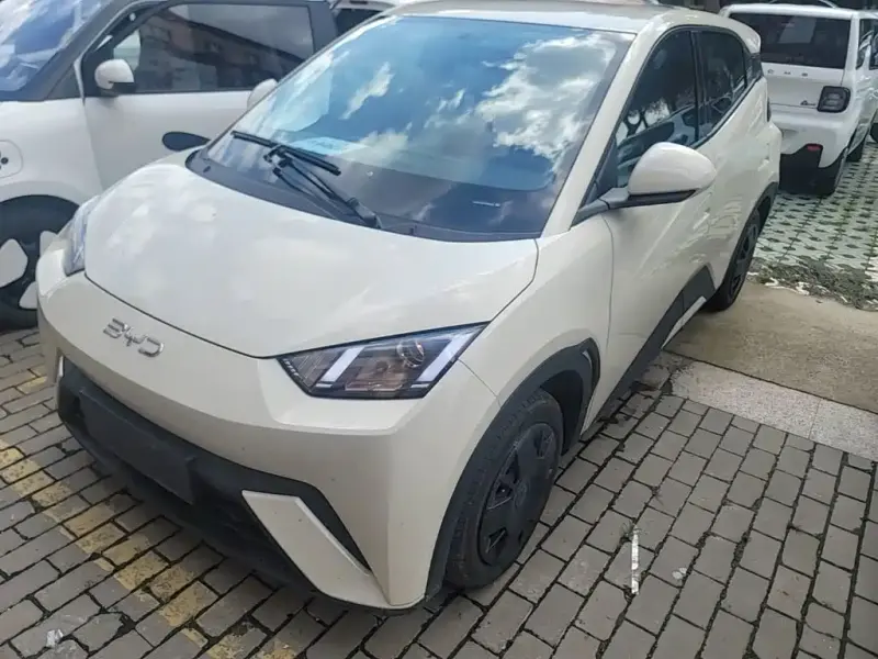 BYD Seagull, 2024
