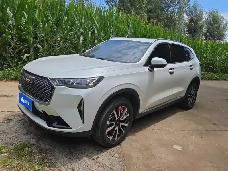 Haval H6, 2021