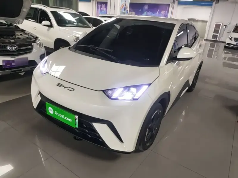 BYD Seagull, 2024