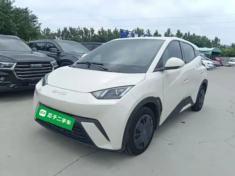 BYD Seagull, 2024