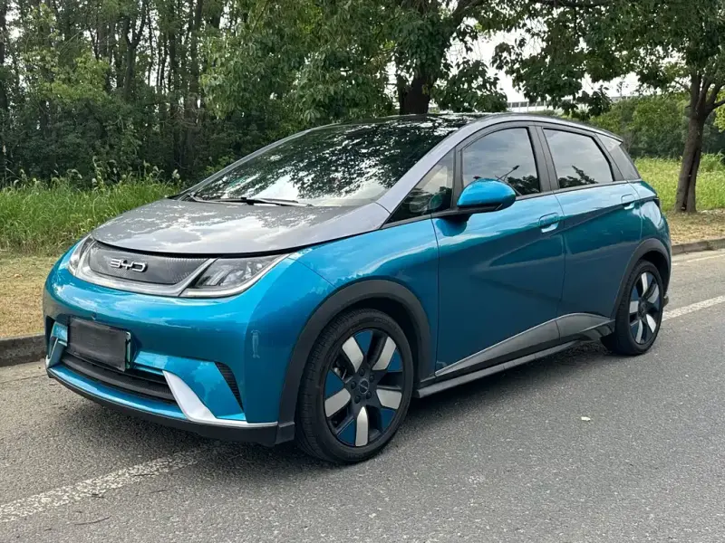 BYD Dolphin, 2022