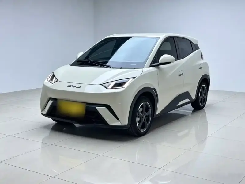 BYD Seagull, 2024