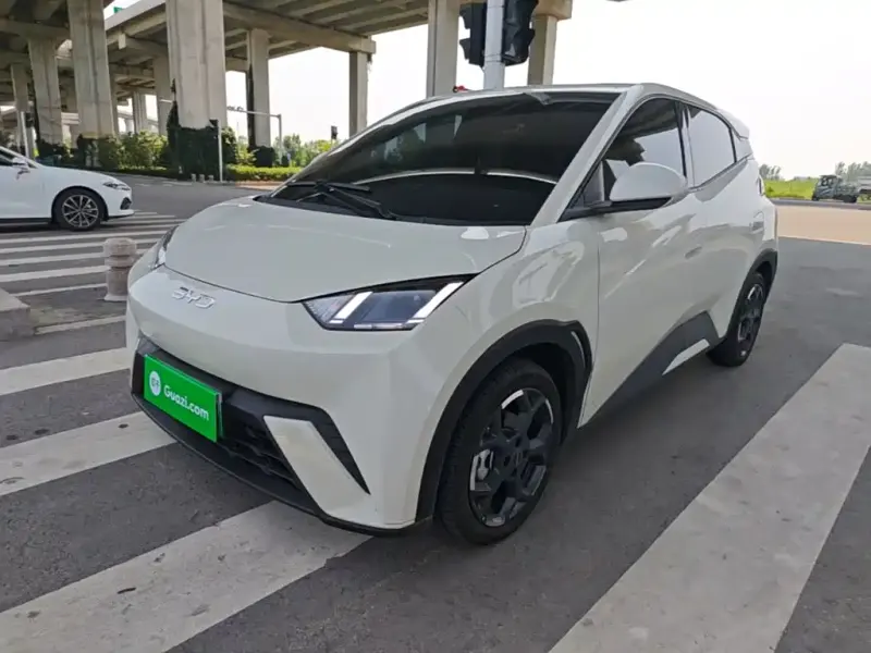 BYD Seagull, 2025