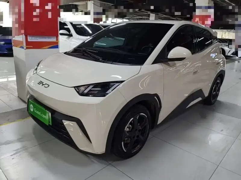 BYD Seagull, 2024