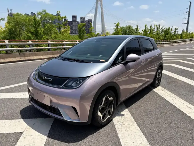 BYD Dolphin, 2022